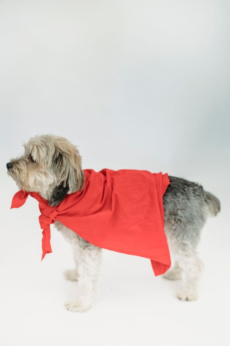 Superhero Cape