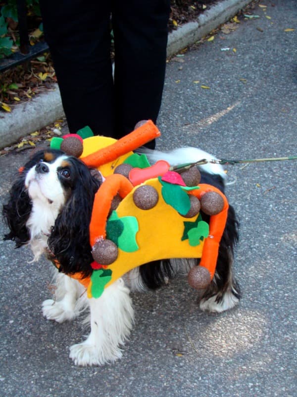 Taco