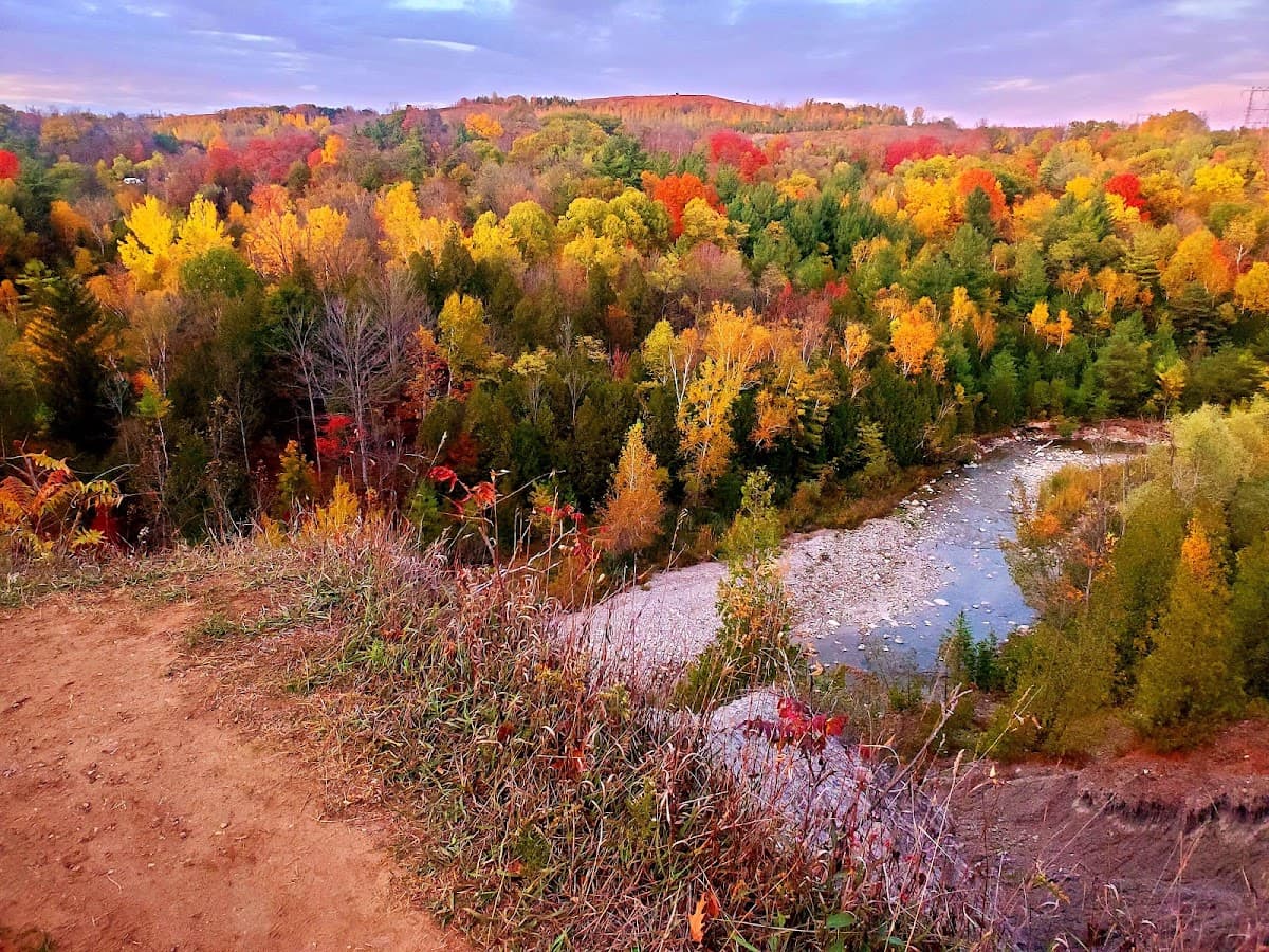 Fall colours at Rouge National Urban Park