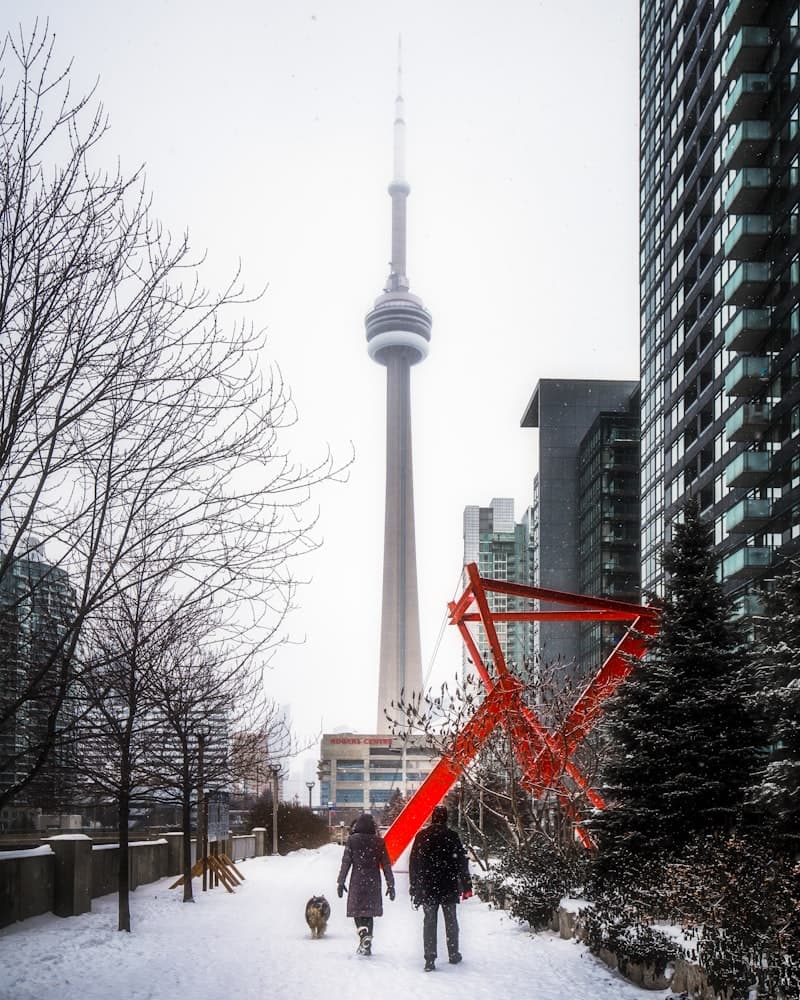 Walking a dog through snowy Toronto streets