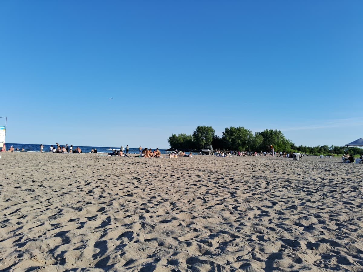 Dog running on Woodbine Beach