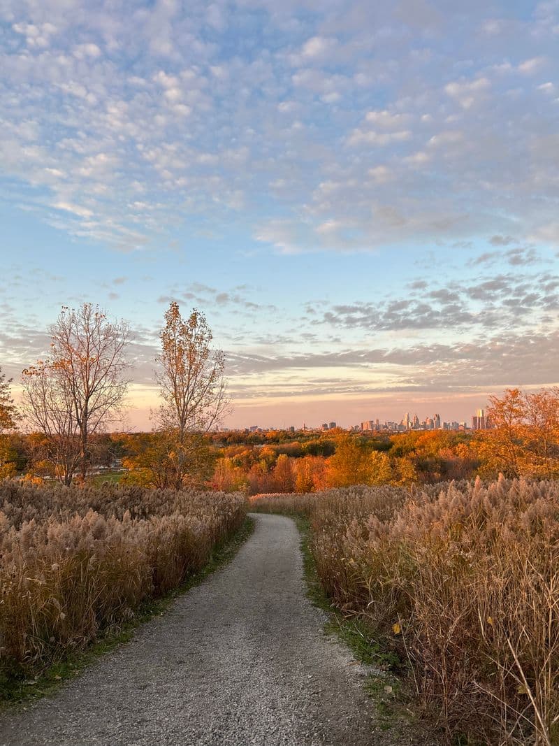 Humber River Trail in fall colour