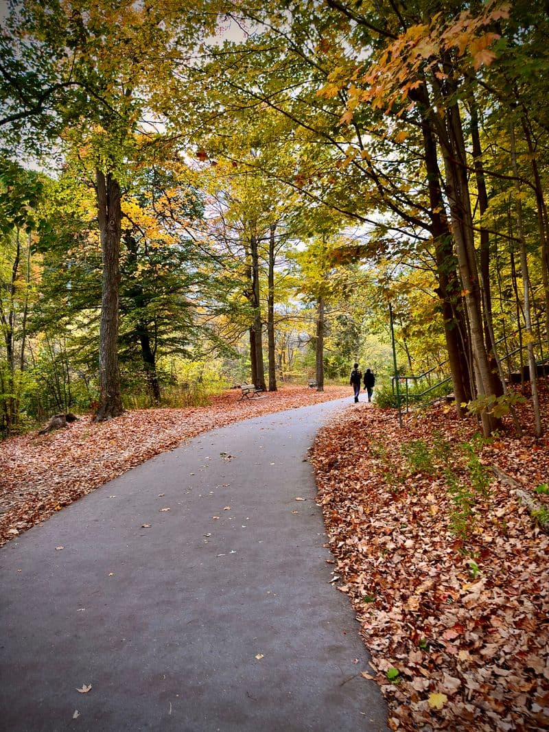 Rouge National Urban Park in fall colour