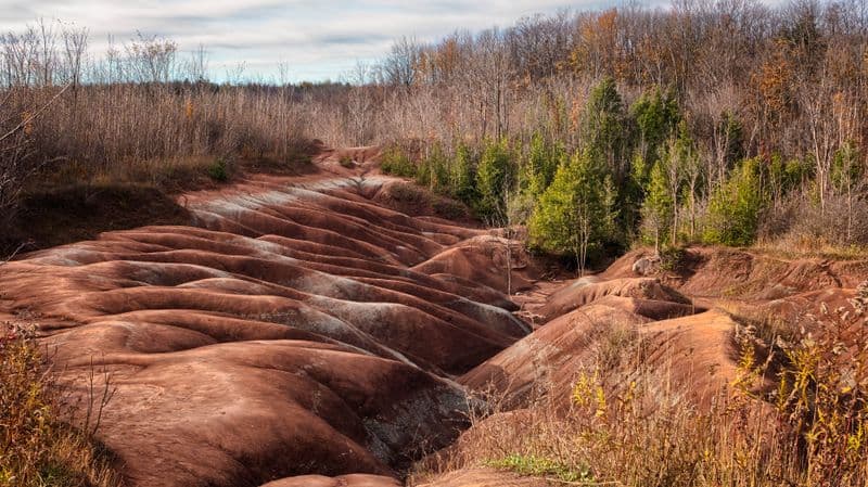 Cheltenham Badlands in fall colour