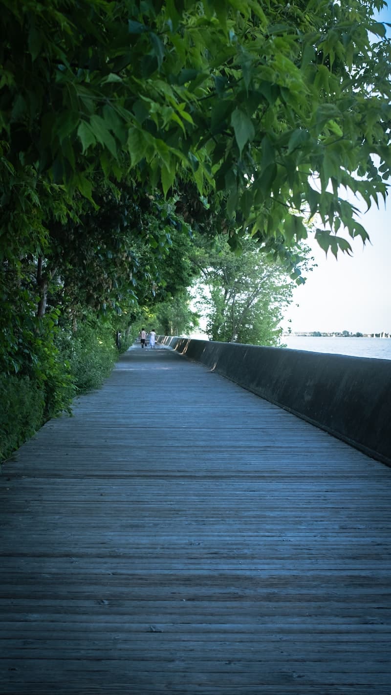 The Beaches, Toronto, lakeside boardwalk