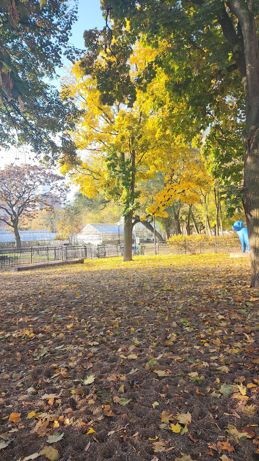 Allan Gardens Dog Park