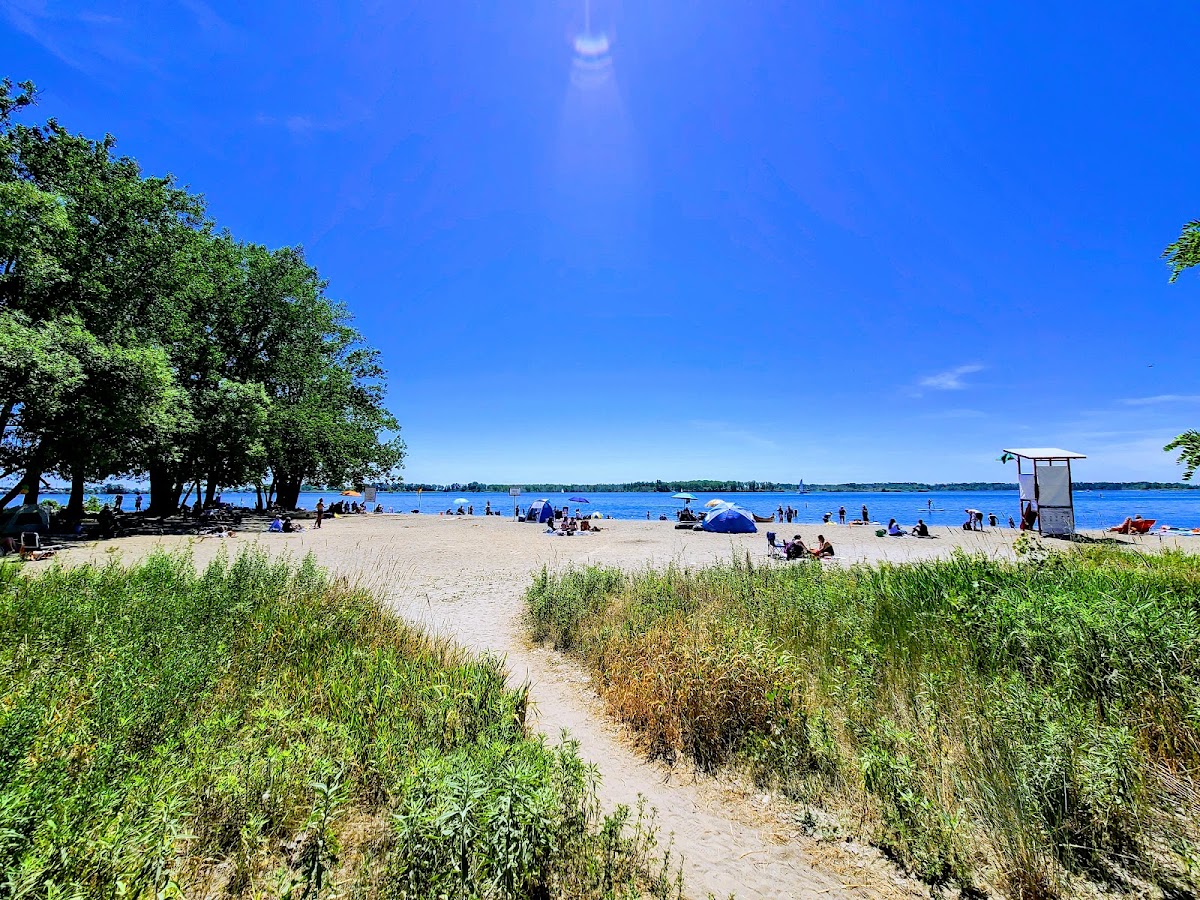 Cherry Beach Off-Leash Dog Park