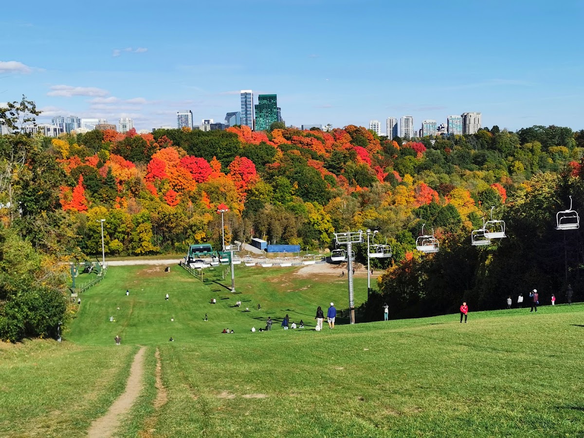 Earl Bales Park