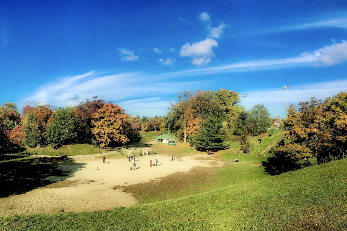 Trinity Bellwoods Park Dog Bowl
